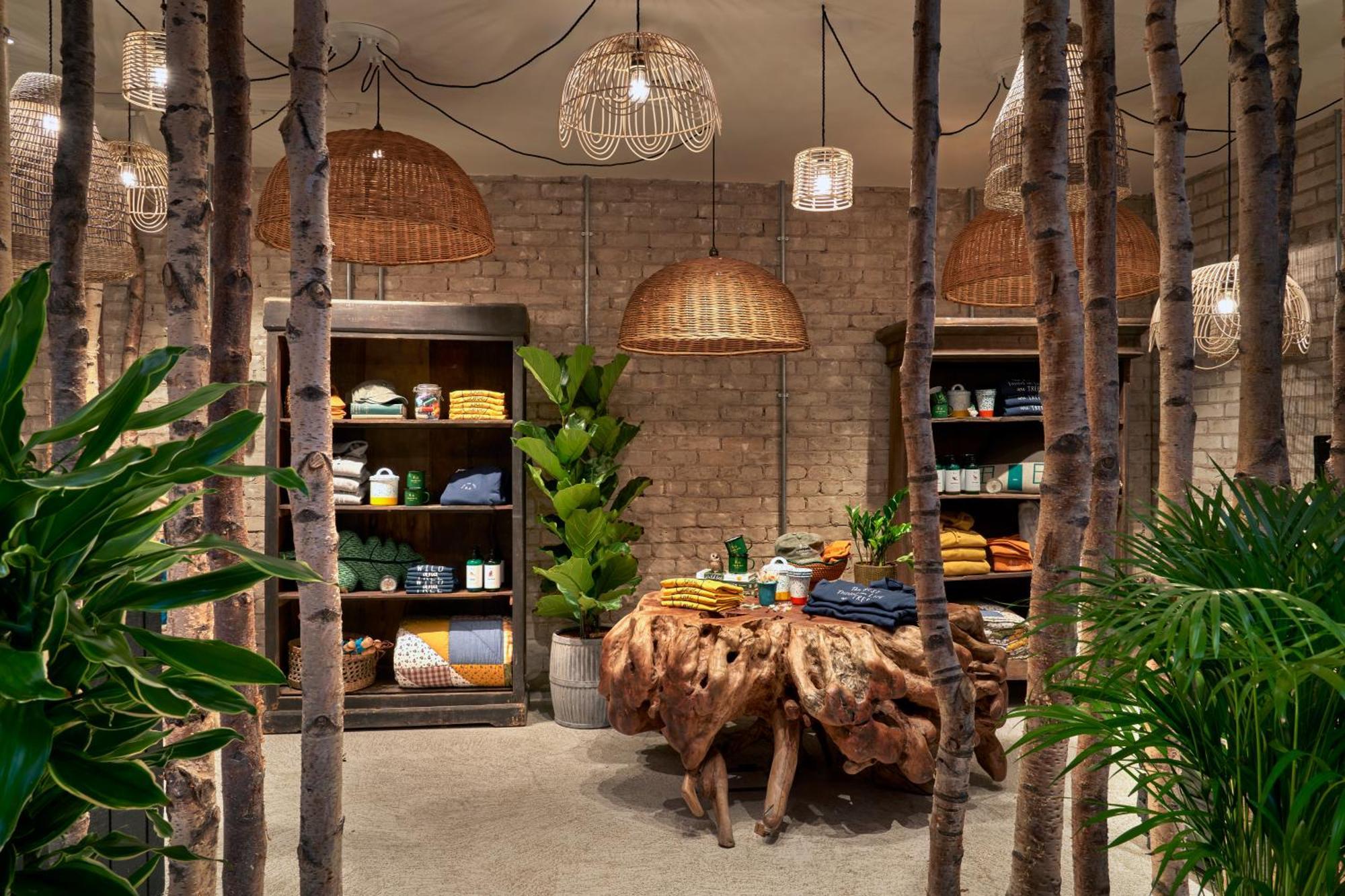 Treehouse