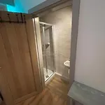 Luxury En-Suite For Single Professional