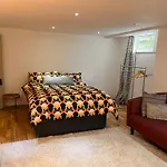 Spacious Basement Studio Apartment