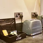 The Jade Suite