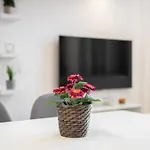 Luxury Stylish Apartment Central Manchester