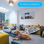 Book The Green Palace By Bluewool Properties!