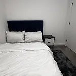 Moe\'S Comfy Haven