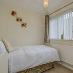 Newly Renovated Modern Home