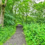 Regency Guesthouse Manchester North