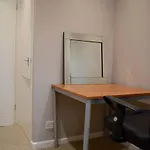 Newly Renovated Modern Family Home