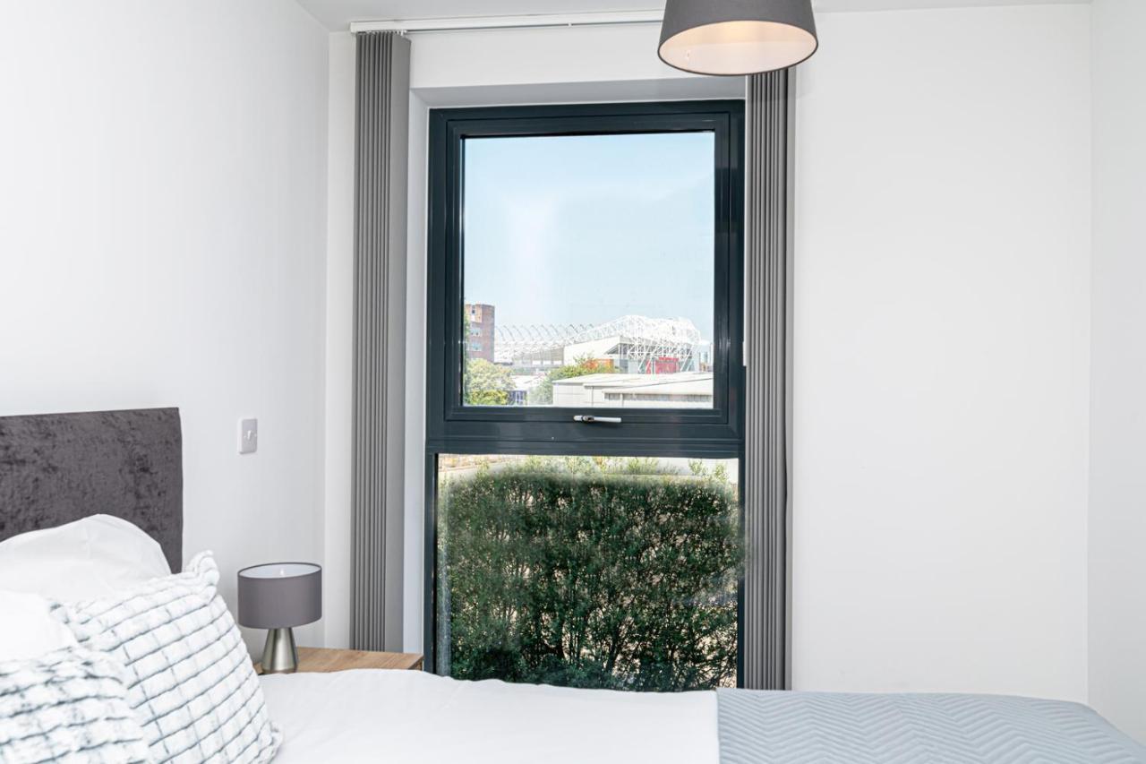Insignia Apartment