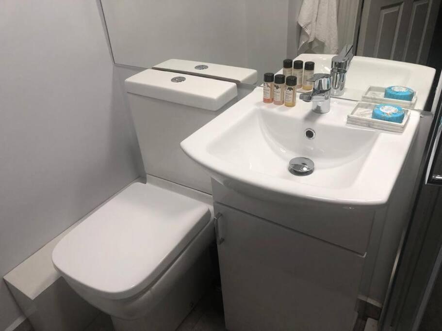Apartment 3 Bath Contemporary Victorian Near Attractions