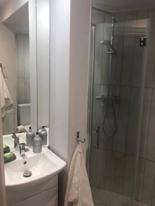 Apartment 3 Bath Contemporary Victorian Near Attractions Manchester