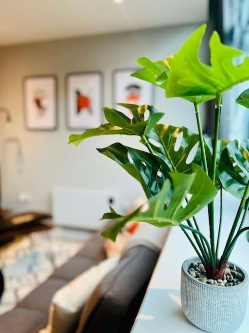 Apartment Unique Studio Near Old Trafford Stadium - Sleeps Up To 4!