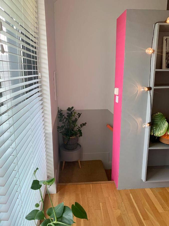 Designer House And Garden With Parking Apartment