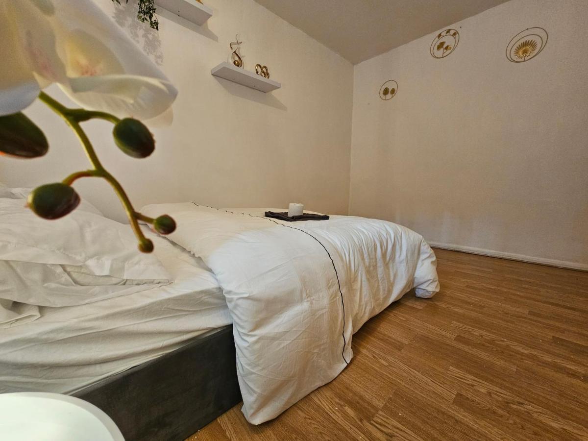 Homestay Spacious In The Centre Of The
