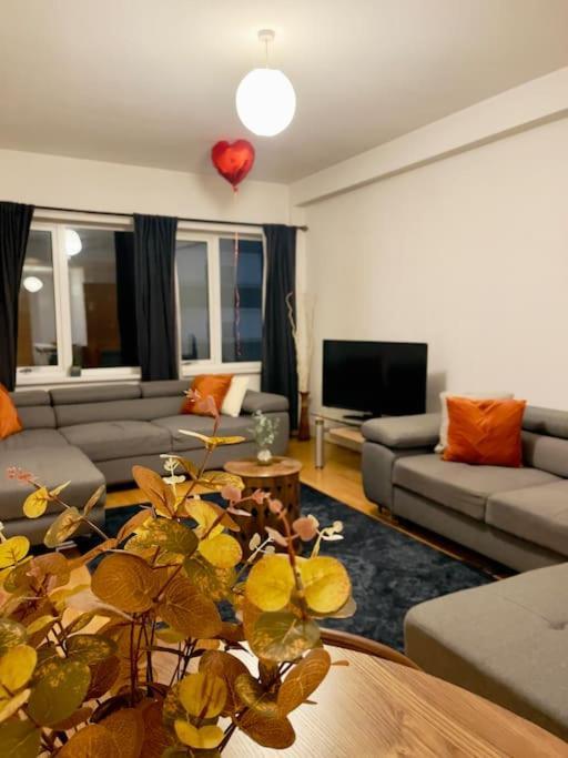 Apartment Beautiful Open Plan Living! *
