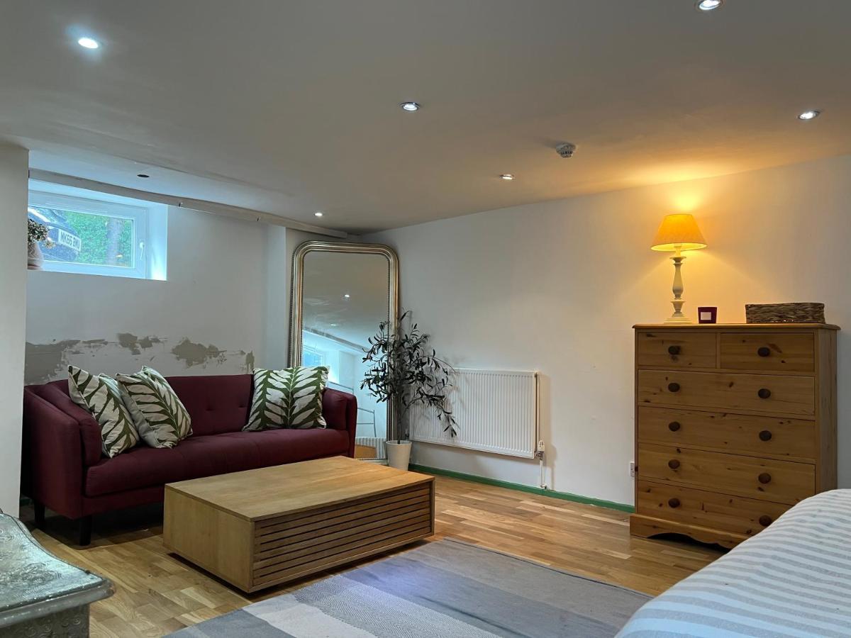 Spacious Basement Studio Apartment