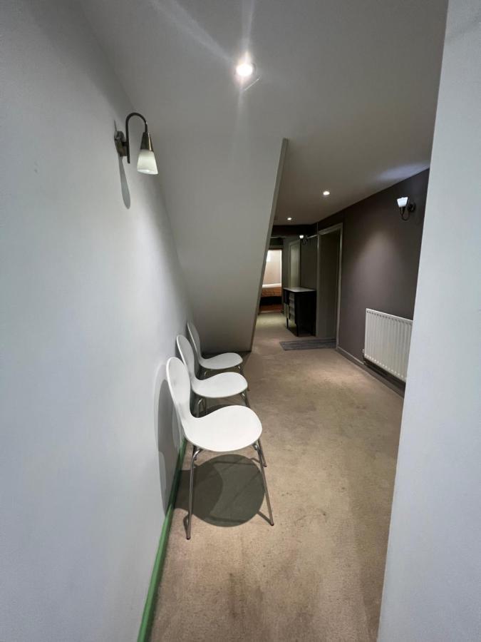 Spacious Basement Studio