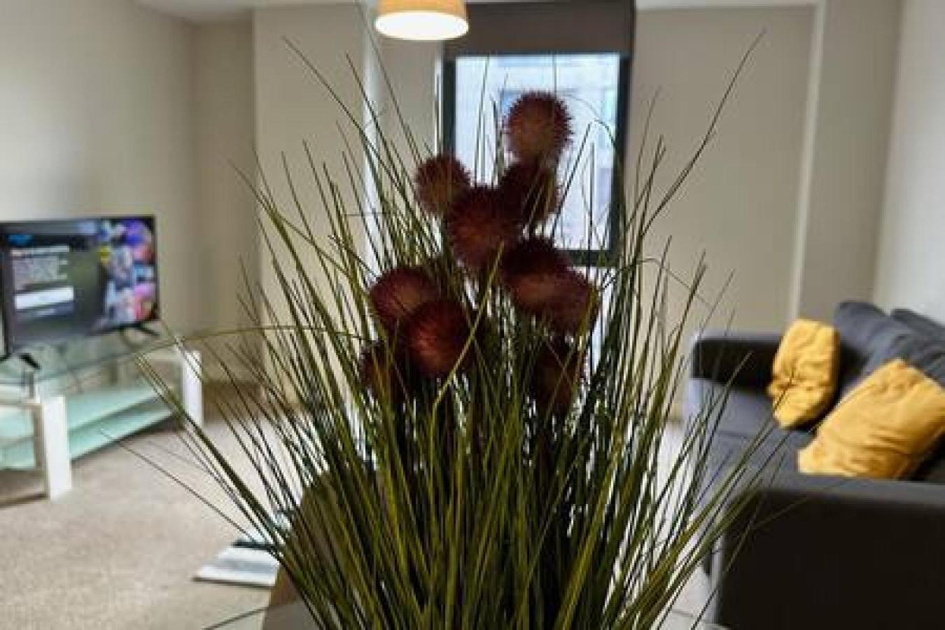 Fab 1 Bed In Sleeps 2 Manchester