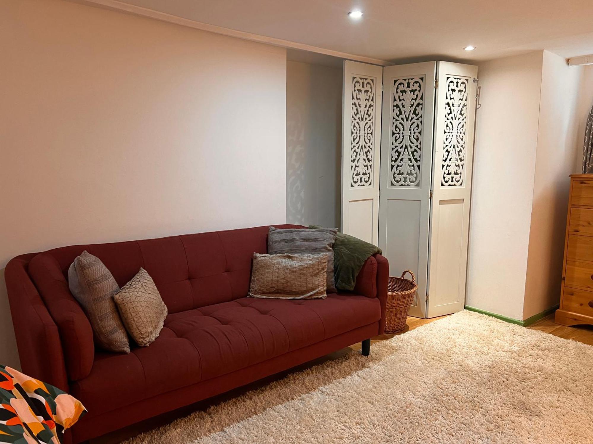 Apartment Spacious Basement Studio