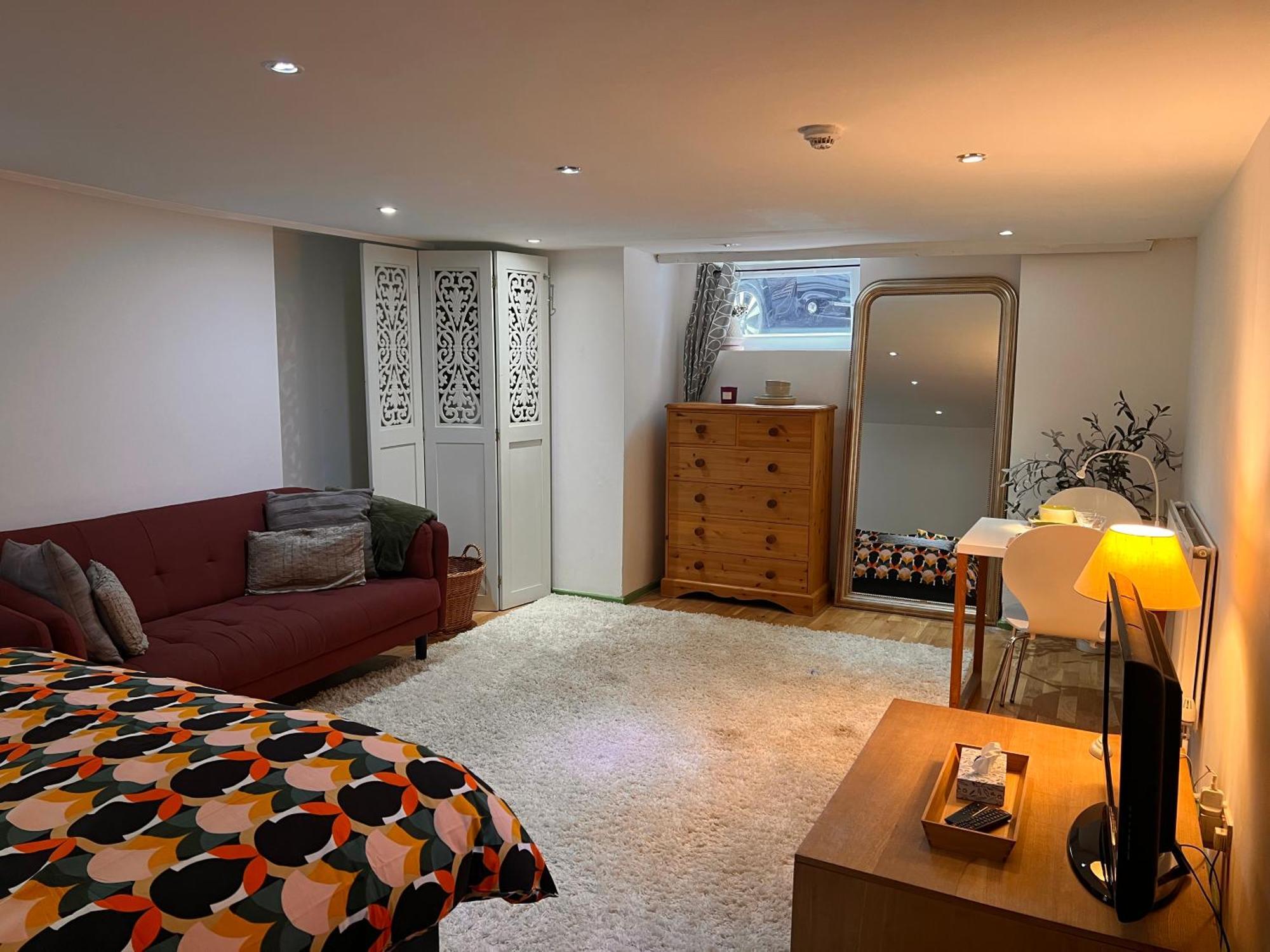 Spacious Basement Studio