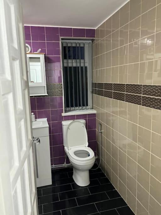 Apartment Stunning 2 Bed Rear Flat