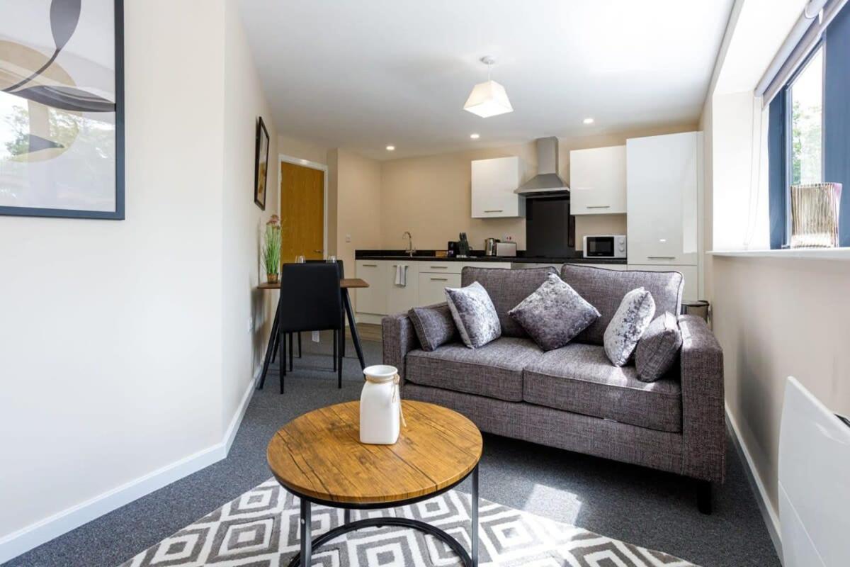 Stylish And Modern 1 Bedroom Apartment