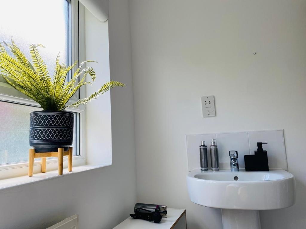 Homestay Modern, Stylish And Central