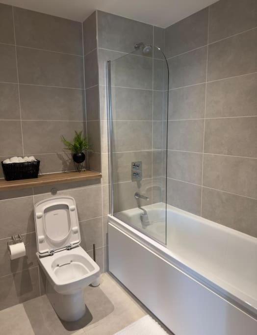 Your Private Oasis In Apartment *