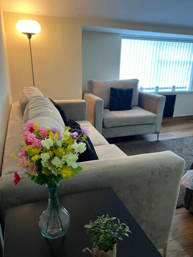 Luxury Apartment