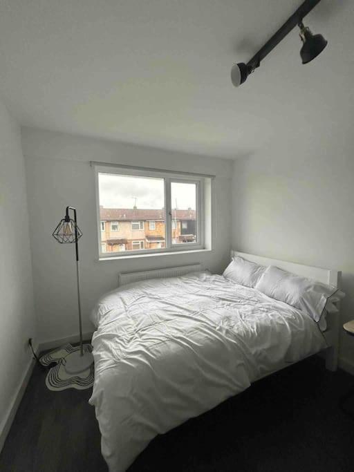 Apartment Your Manga House Near Coop Live Ethihad *