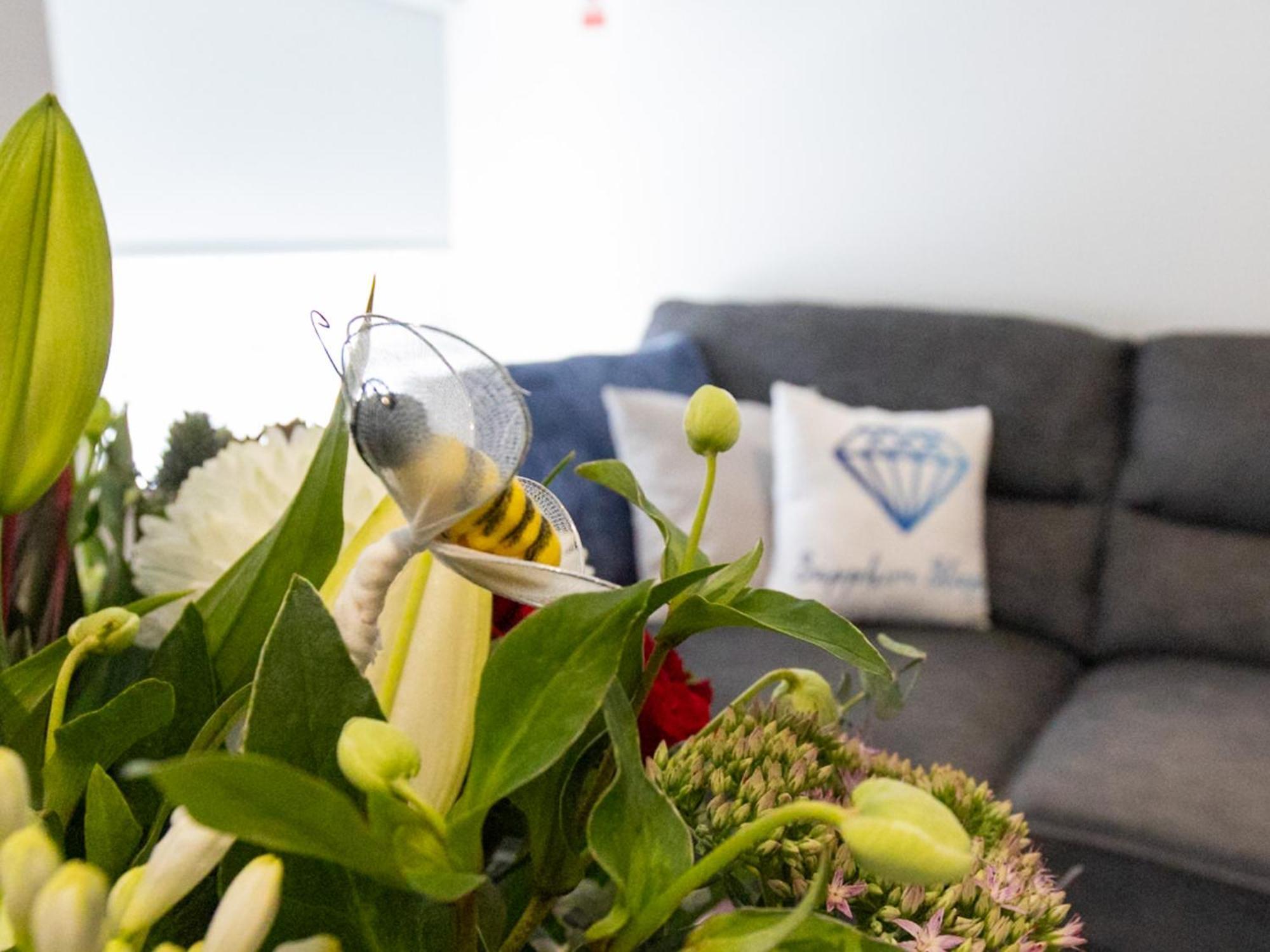 Apartment Cute, Comfortable & Classy *