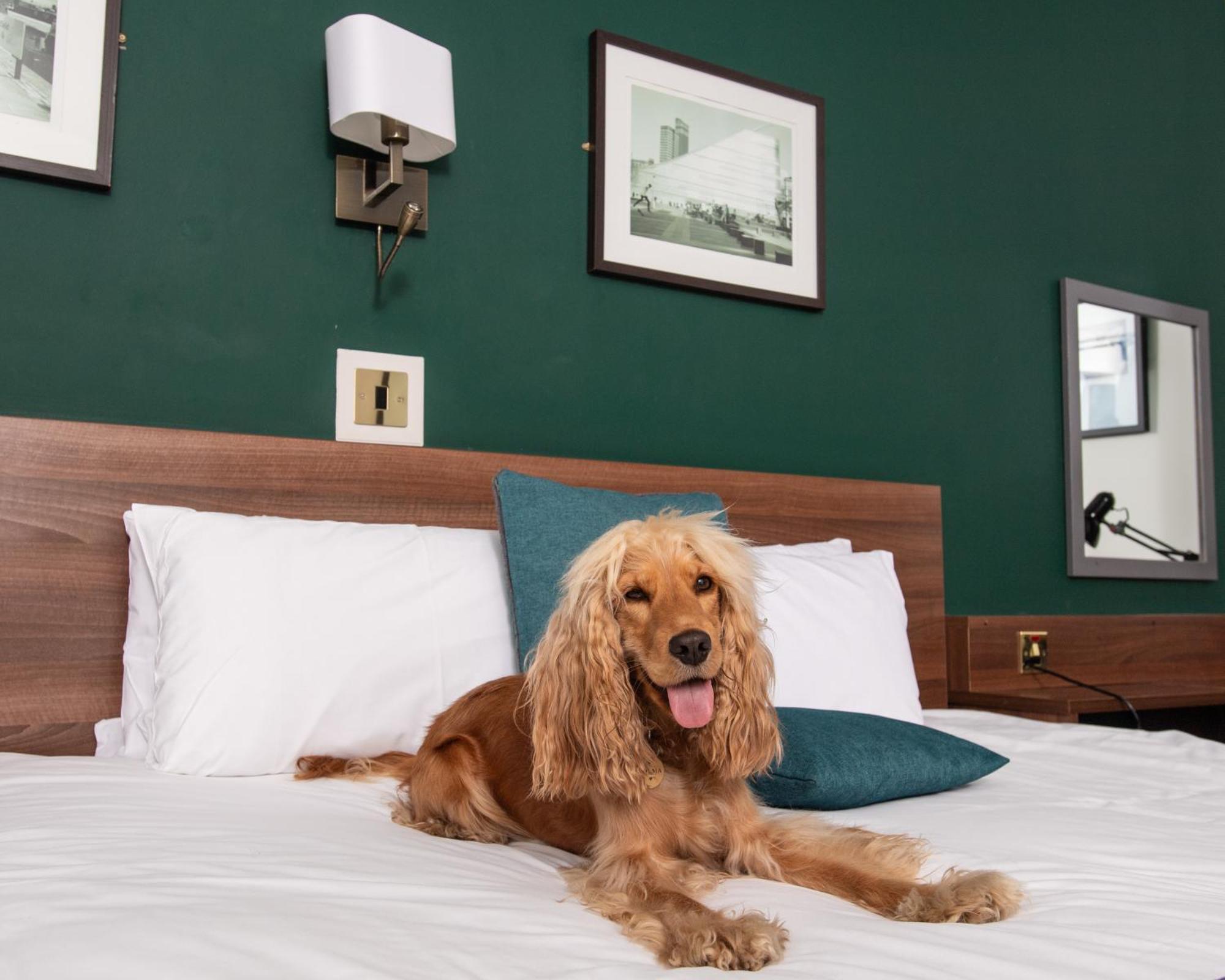 Castlefield Hotel Manchester