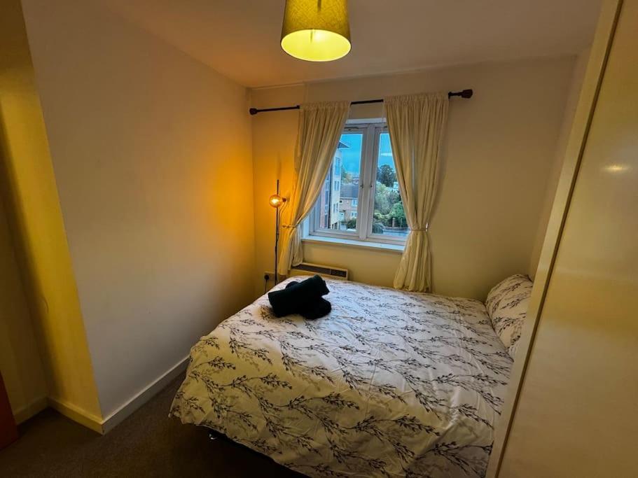 Luxury 2br Flat Near Town