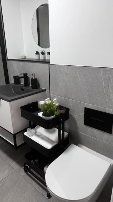 Moes Comfy Haven Apartment