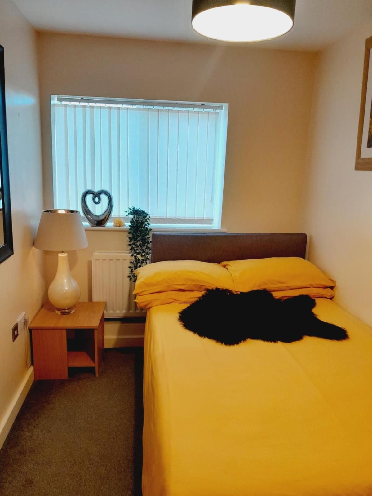 Modern 2 Bed, 2 Bath Near Etihad Stadium And Coop Live Apartment Manchester