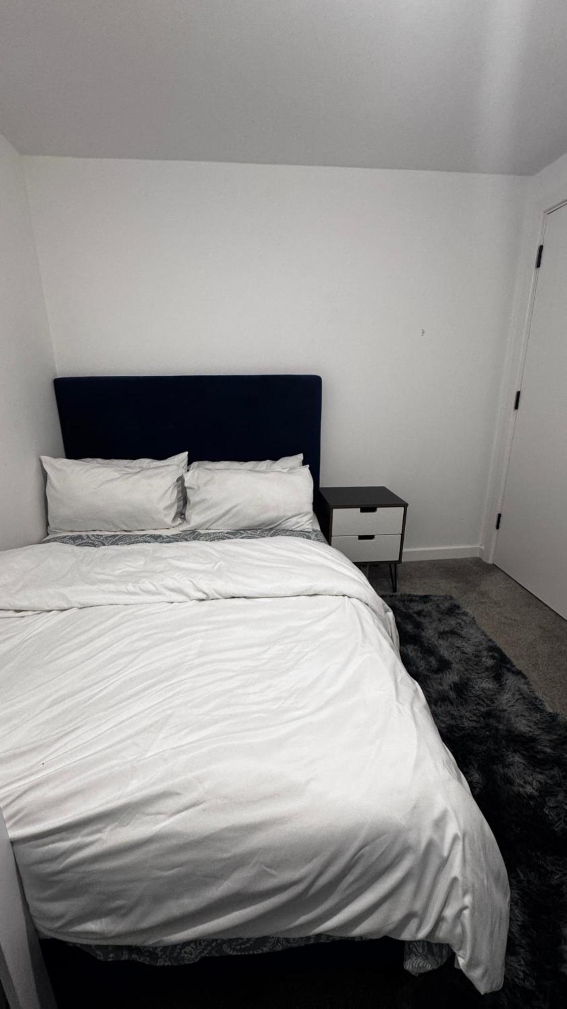 Moe's Comfy Haven Apartment *