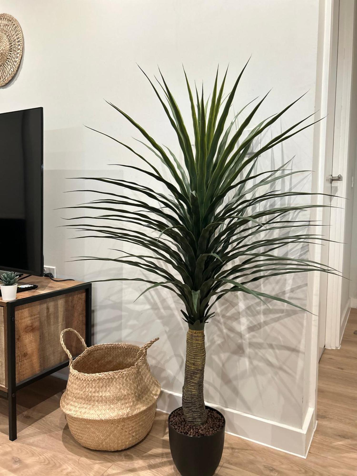 Bohemian With Terrace & Gym Apartment *
