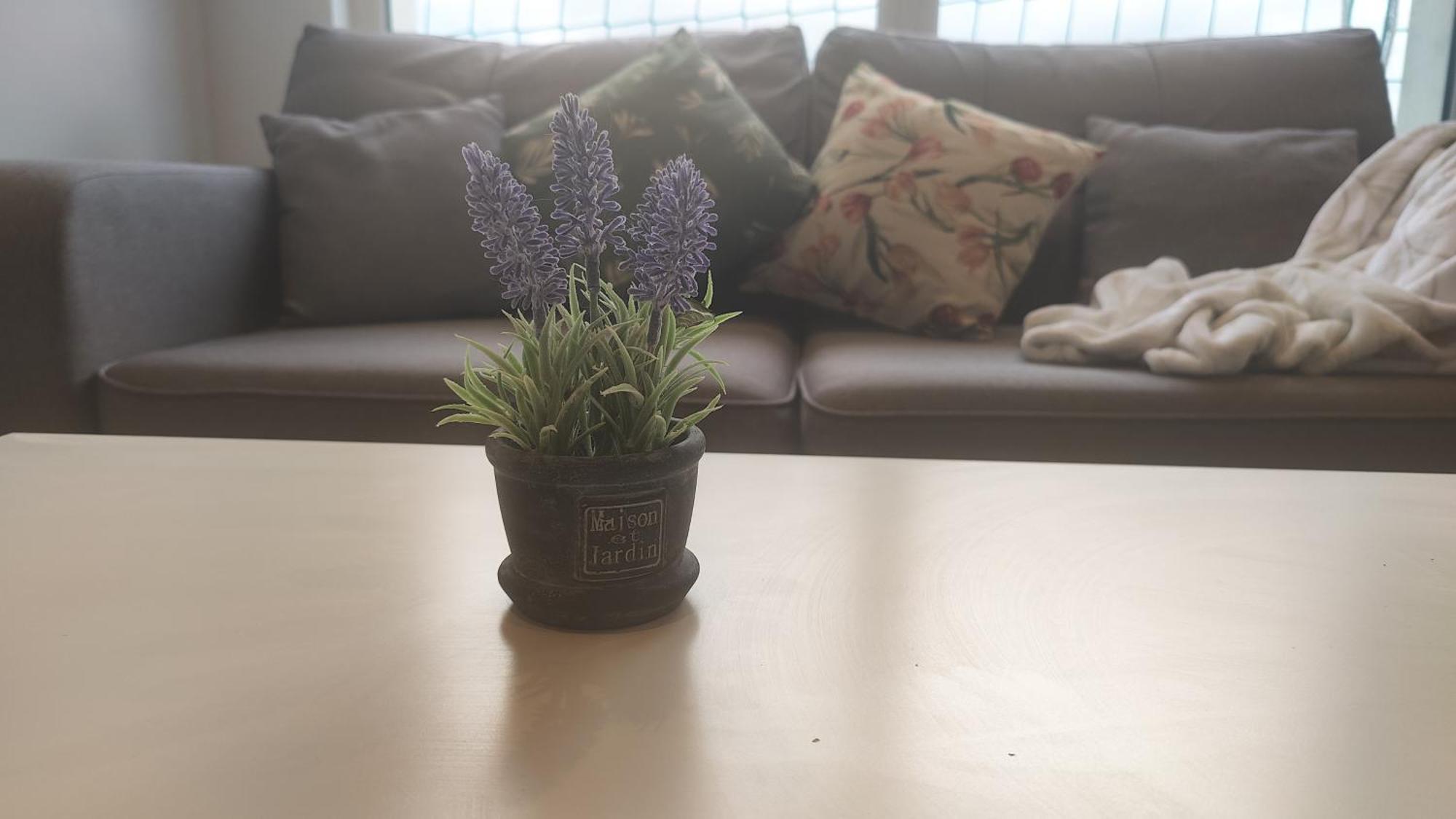 Entire Top-floor Views Near Media & United Apartment Manchester