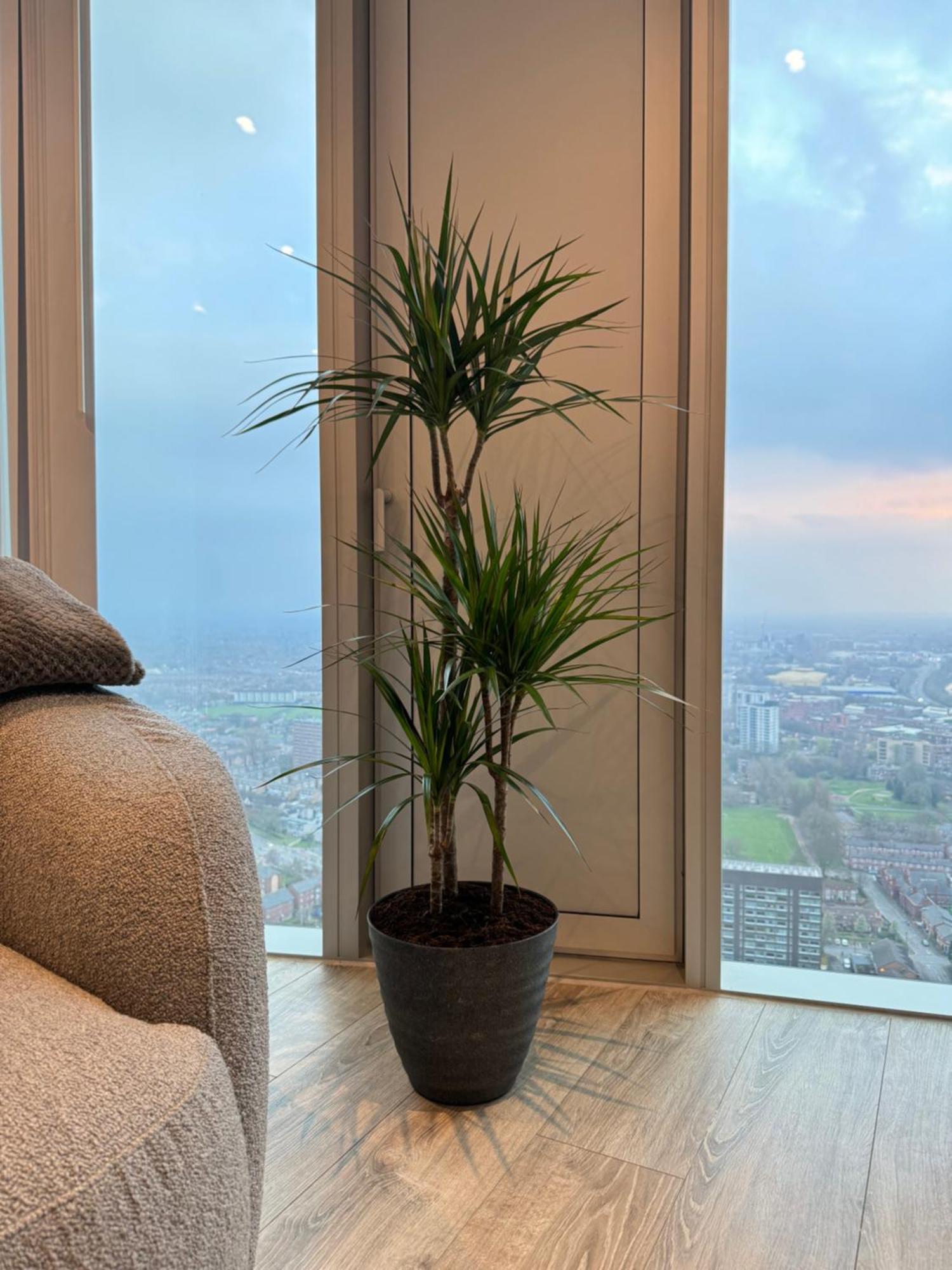 3 Bedroom Penthouse In The City Centre Deansgate New Build High Floor