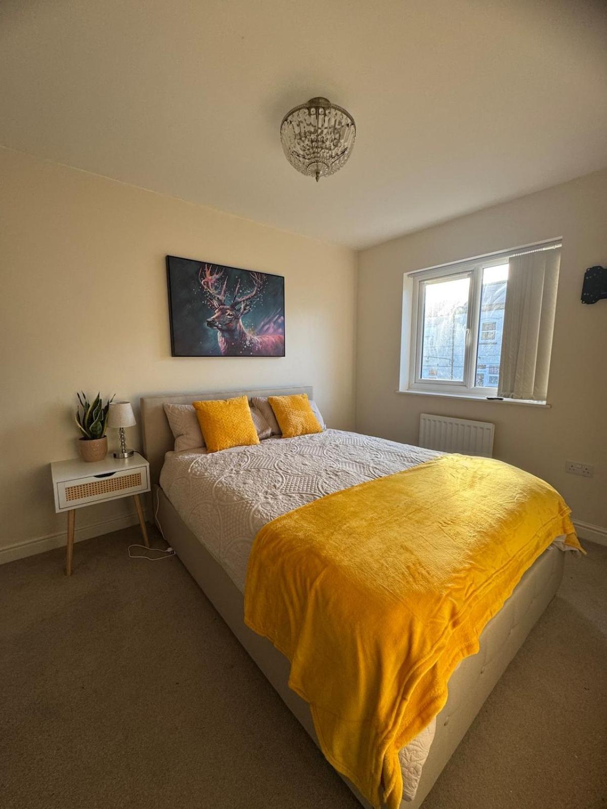 Apartment Large 3 Bed House Near Etihad And Coop Live