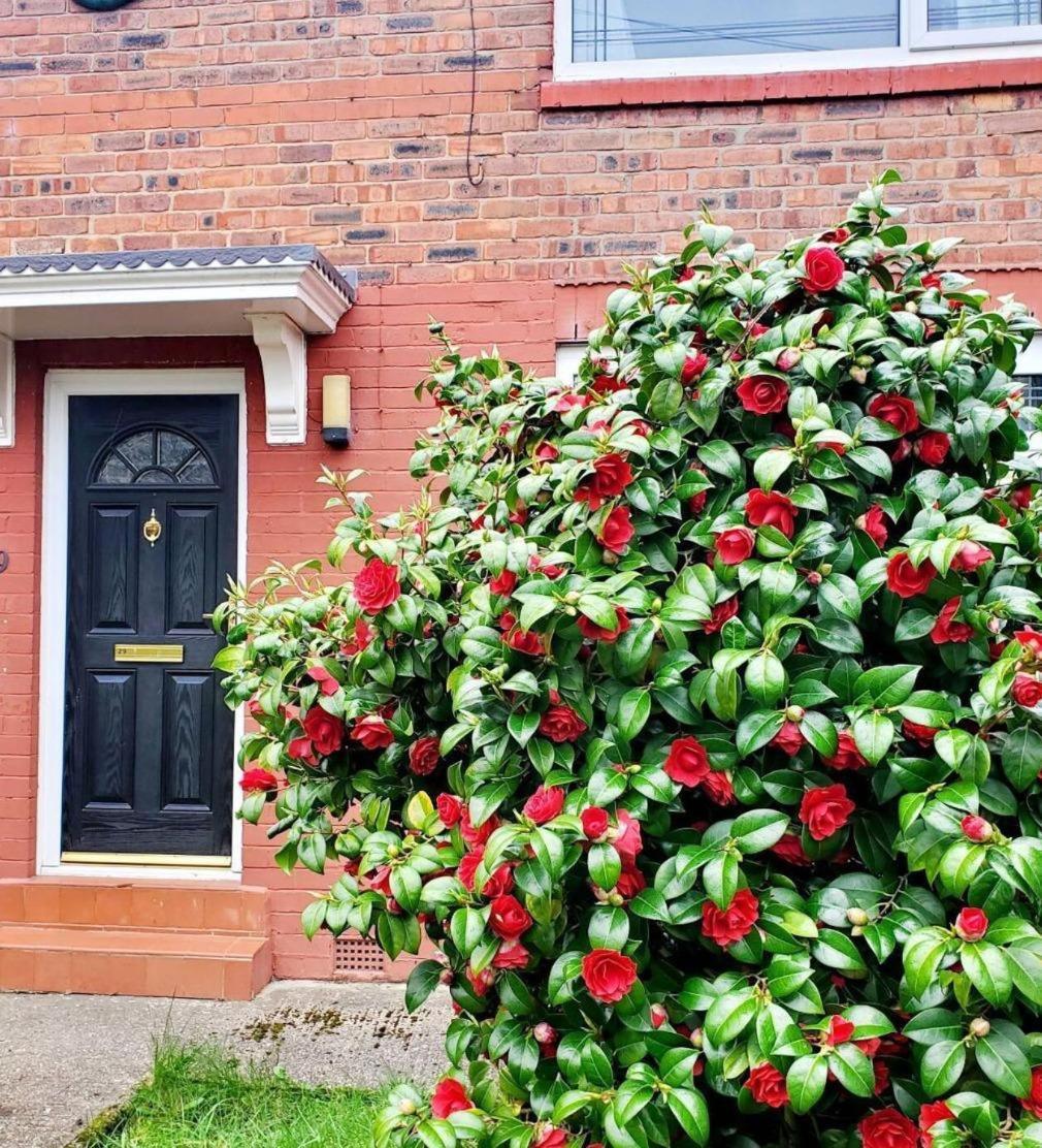 Long 3br House With Parking *