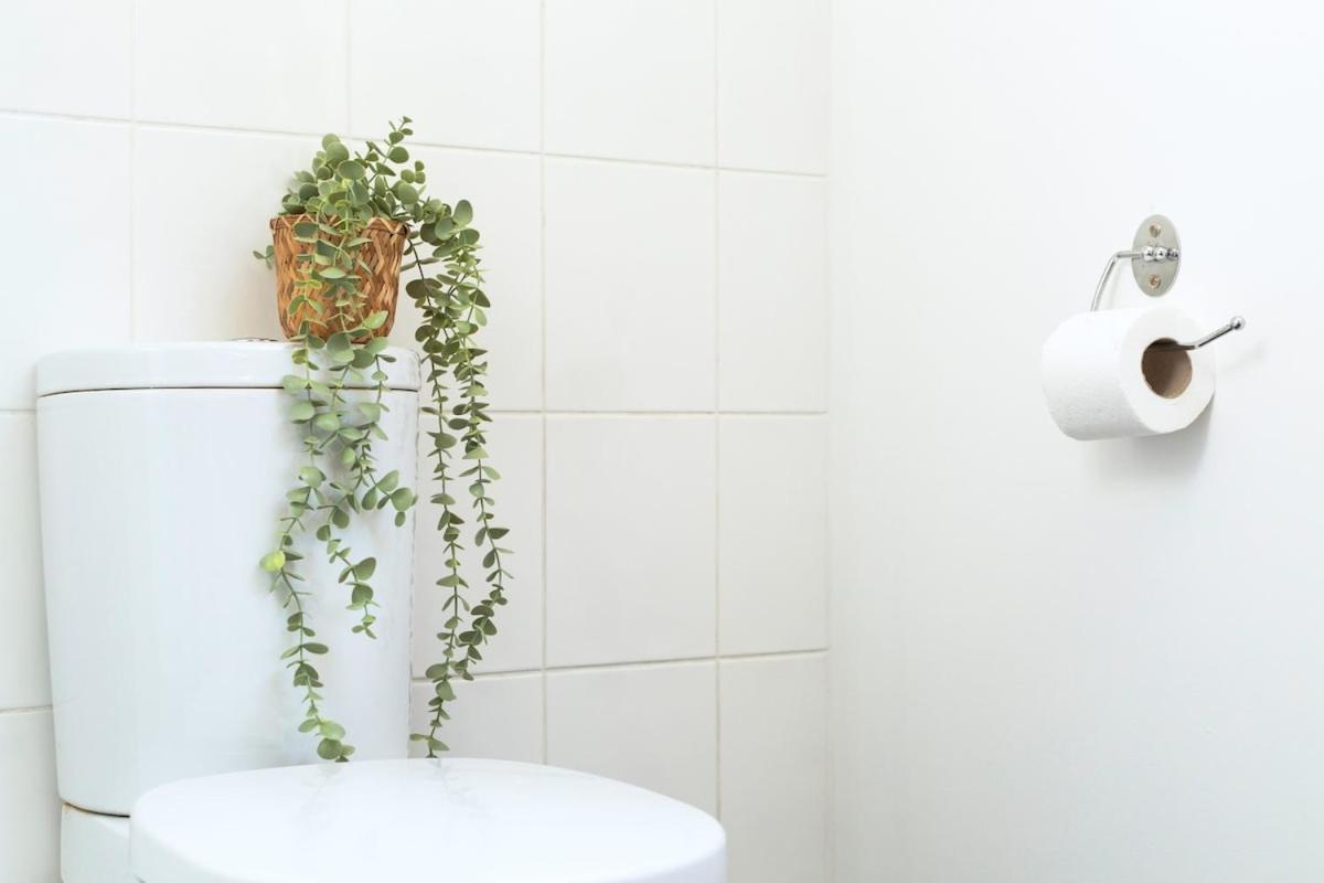 Apartment Bright & Luxurious With Garden *