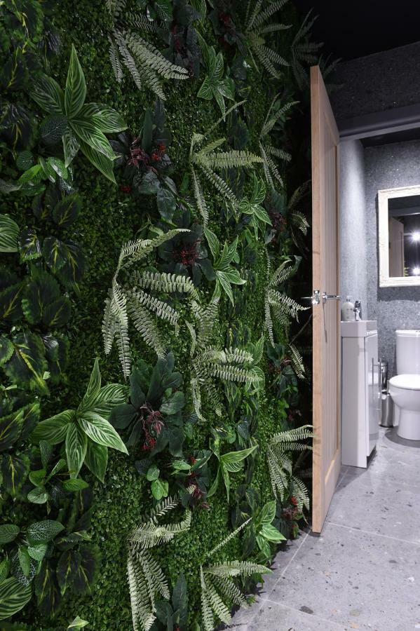 La Jungle Du Swan *