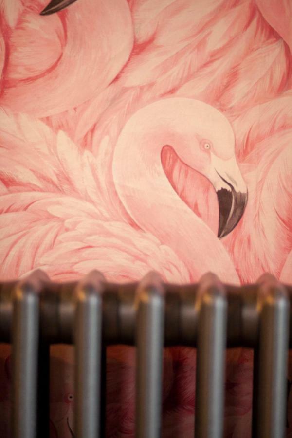 The Flamingo Holiday home Manchester