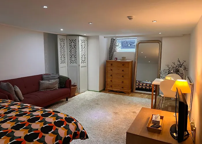 Spacious Basement Studio Apartment