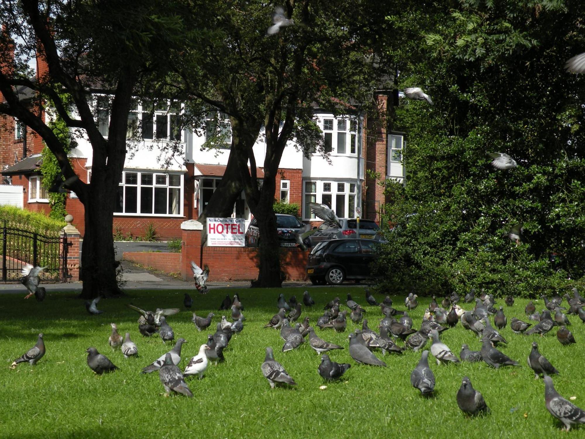 Bed & Breakfast Park Crescent Hotel Manchester