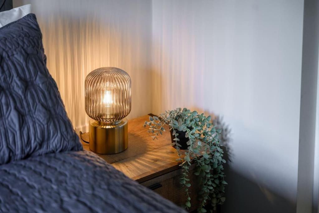 Haven Modern Luxurious