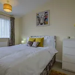 Newly Renovated Modern Home