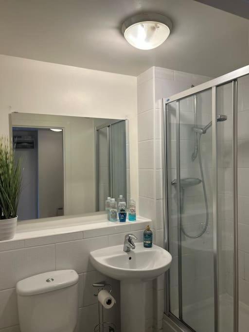 Apartment Entire In Greater *