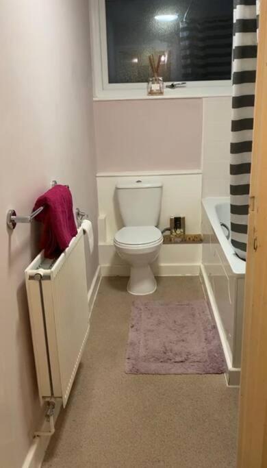 Lovely, Spacious 1-bedroom With *free Parking Apartment